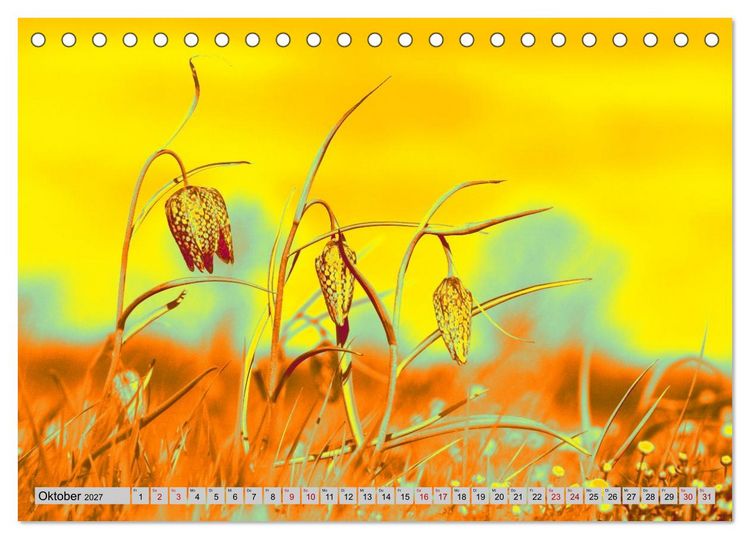 Produktbild: Blumen Pop-Art (Tischkalender 2027 DIN A5 quer), CALVENDO Monatskalender