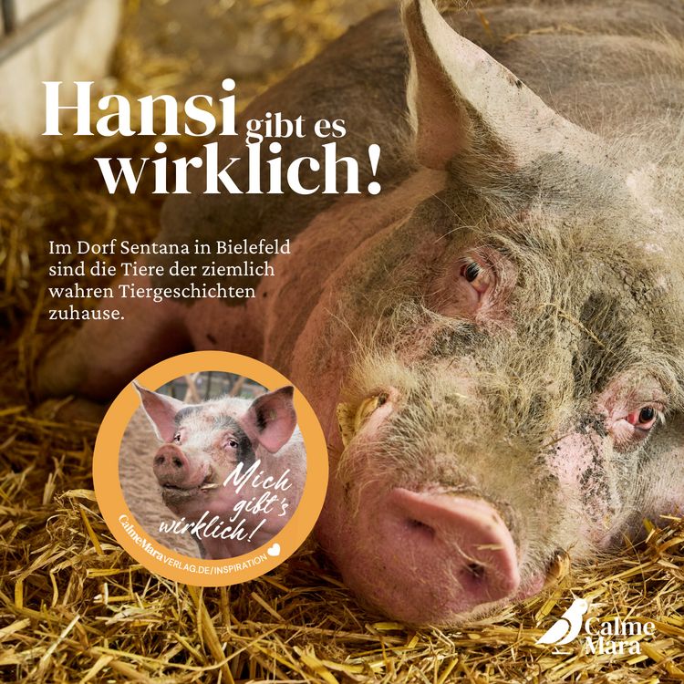 Produktbild: Ein Buch f&uuml;r Hansi