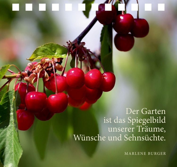 Produktbild: Komm zur Ruhe, finde neue Kraft