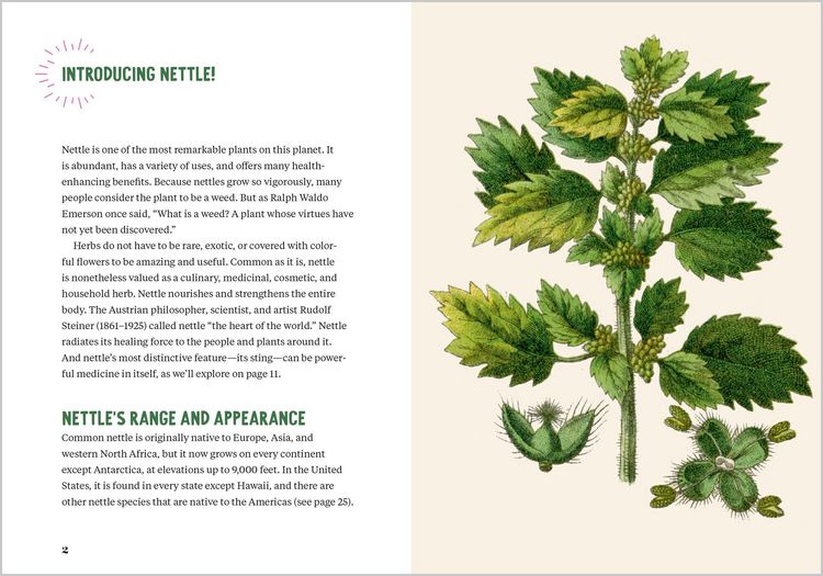 Produktbild: Nettle Power
