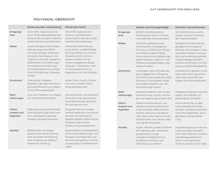 Produktbild: Trauma Tools