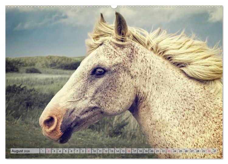 Produktbild: AMRUM Art (hochwertiger Premium Wandkalender 2026 DIN A2 quer), Kunstdruck in Hochglanz