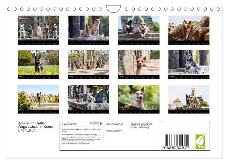 Produktbild: Australian Cattle Dogs zwischen Kunst und Kultur (Wandkalender 2027 DIN A4 quer), CALVENDO Monatskalender
