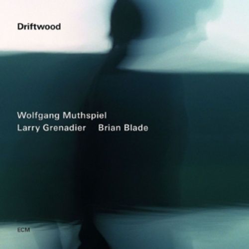 Produktbild: Driftwood
