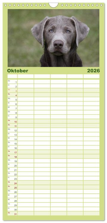 Produktbild: Familienplaner 2026 - Der Hundewelpen-Geburtstagskalender mit 5 Spalten (Wandkalender, 21 x 45 cm) CALVENDO