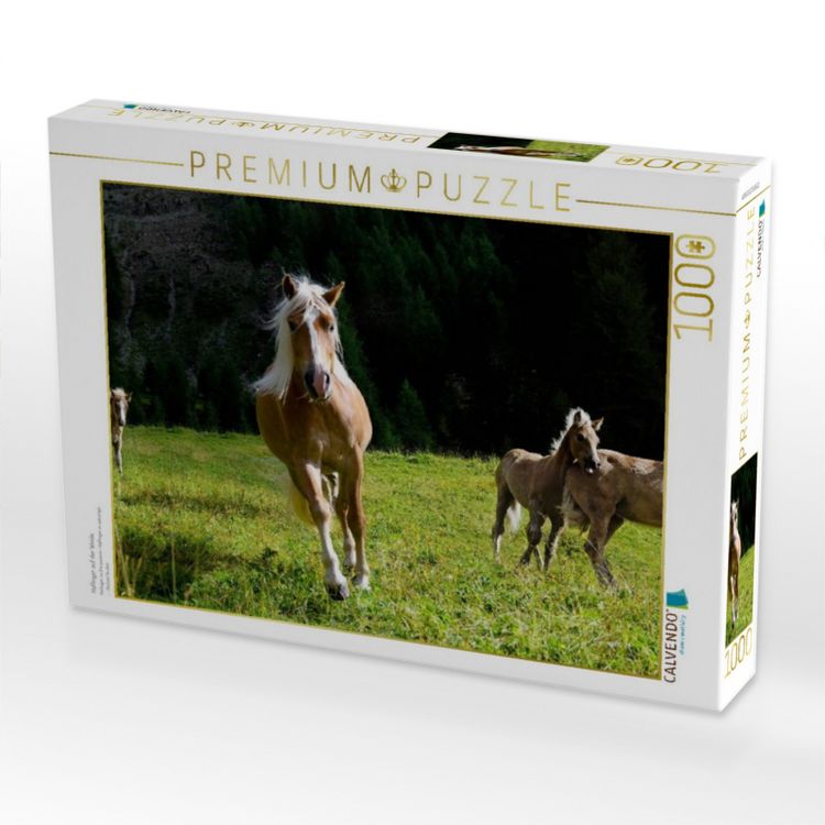 Produktbild: CALVENDO Puzzle Haflinger auf der Weide | 1000 Teile Lege-Gr&ouml;&szlig;e 64x48cm Foto-Puzzle f&uuml;r gl&uuml;ckliche Stunden