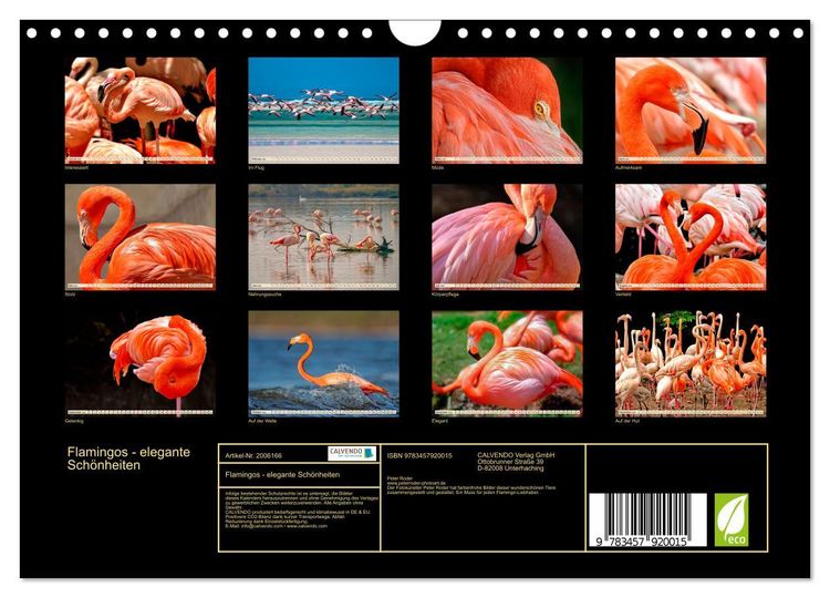 Produktbild: Flamingos - elegante Sch&ouml;nheiten (Wandkalender 2026 DIN A4 quer), CALVENDO Monatskalender