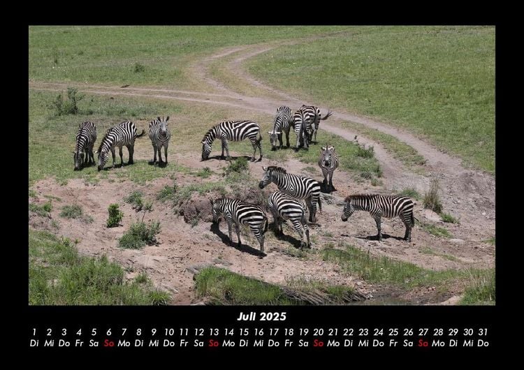 Produktbild: Zebrazauber 2025 Fotokalender DIN A3