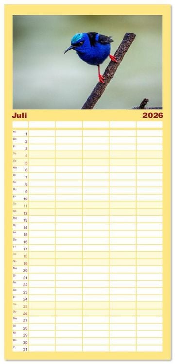 Produktbild: Familienplaner 2026 - Phantastische Vogelwelt Costa Rica mit 5 Spalten (Wandkalender, 21 x 45 cm) CALVENDO