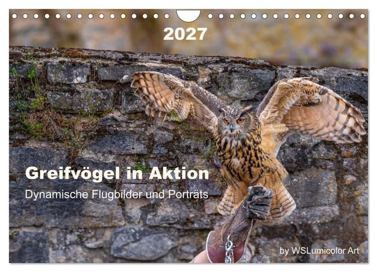 Produktbild: Greifv&ouml;gel in Aktion - Dynamische Flugbilder und Portr&auml;ts (Wandkalender 2027 DIN A4 quer), CALVENDO Monatskalender