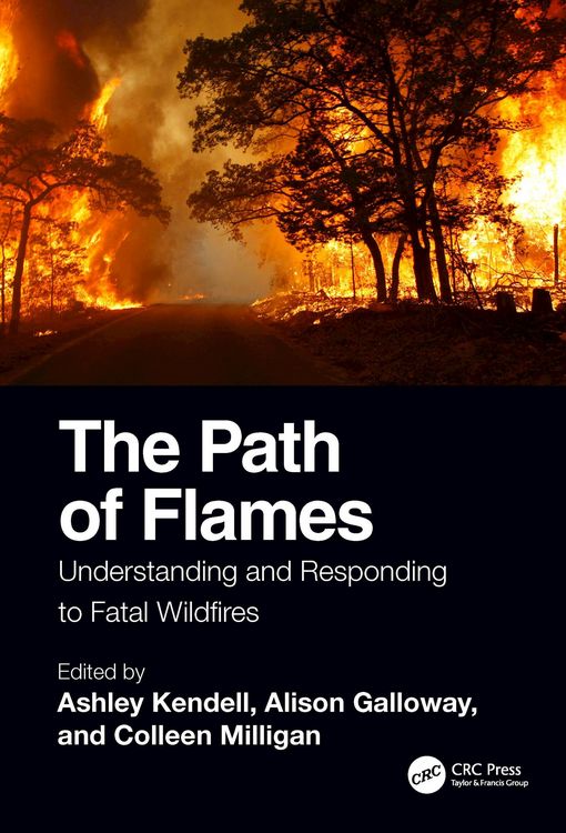 Produktbild: The Path of Flames