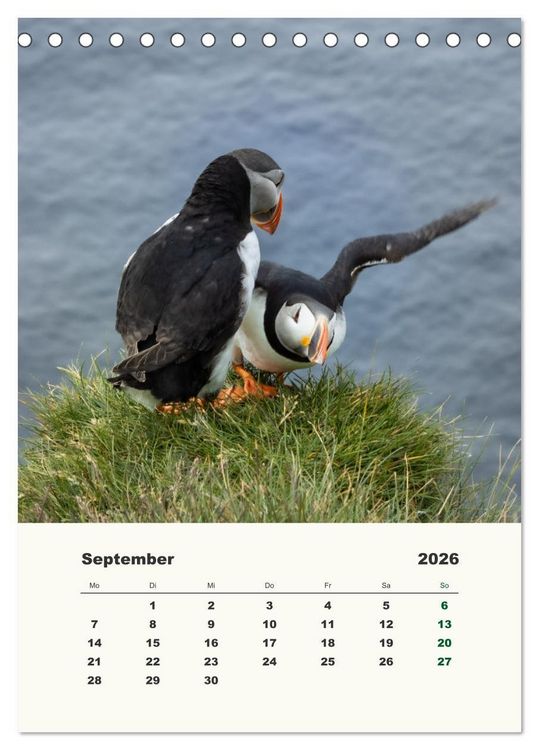 Produktbild: Papageientaucher in Island (Tischkalender 2026 DIN A5 hoch), CALVENDO Monatskalender