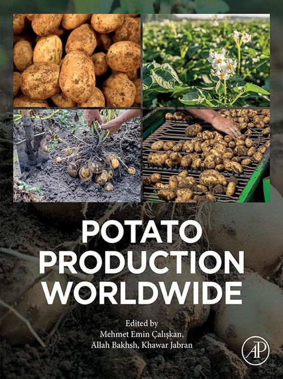 Produktbild: Potato Production Worldwide