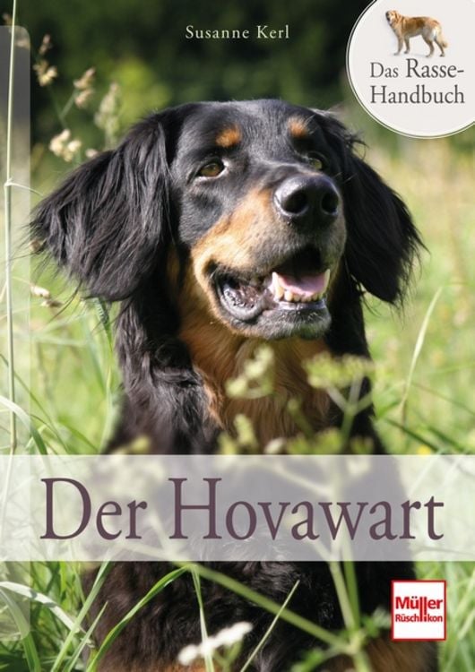 Produktbild: Der Hovawart