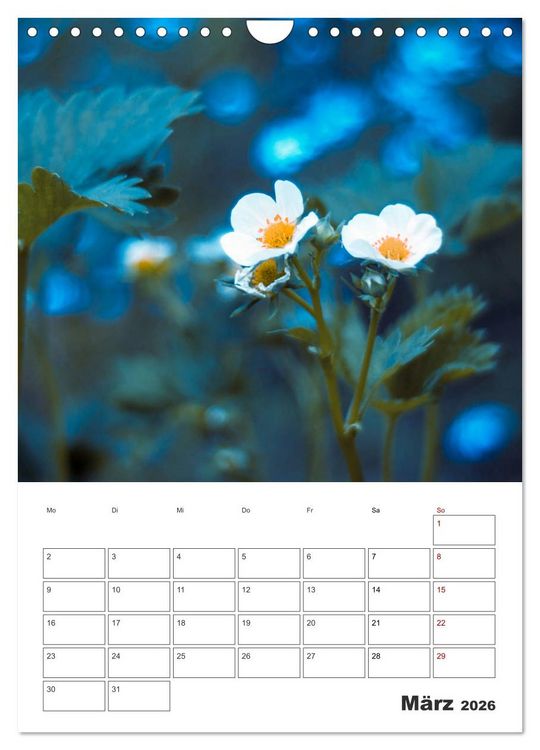 Produktbild: Farbiger Bl&uuml;tentraum (Wandkalender 2026 DIN A4 hoch), CALVENDO Monatskalender