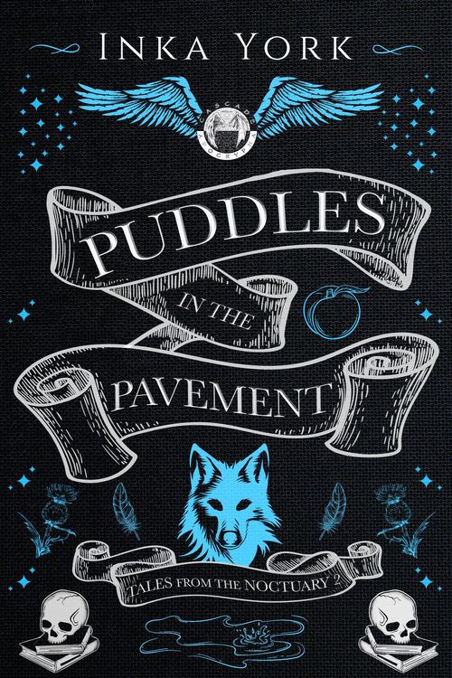 Produktbild: Puddles in the Pavement (Tales from the Noctuary, #2)