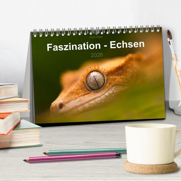 Produktbild: Faszination - Echsen (Tischkalender 2026 DIN A5 quer), CALVENDO Monatskalender