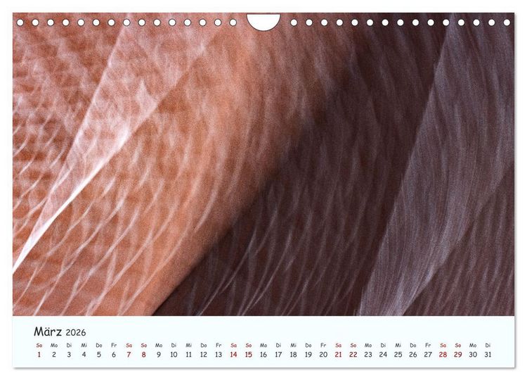 Produktbild: Farbgrafik - Die Sch&ouml;nheit der abstrakten Fotografie (Wandkalender 2026 DIN A4 quer), CALVENDO Monatskalender