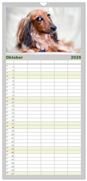 Produktbild: Familienplaner 2026 - Dackelblicke - Lassen Herzen erw&auml;rmen. mit 5 Spalten (Wandkalender, 21 x 45 cm) CALVENDO