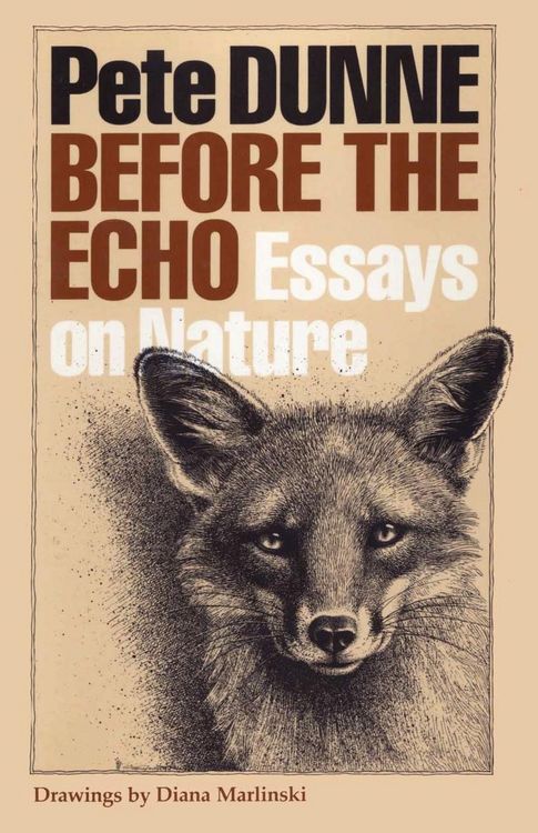 Produktbild: Before the Echo