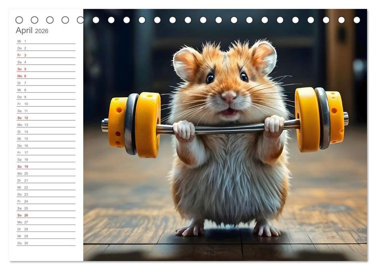 Produktbild: Hamster Olympiade - Der flauschigste Wettkampf des Jahres (Tischkalender 2026 DIN A5 quer), CALVENDO Monatskalender