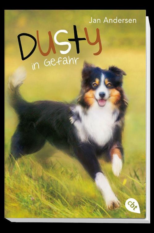 Produktbild: Dusty in Gefahr