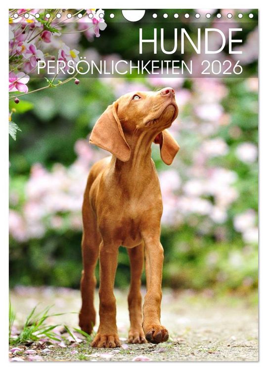 Produktbild: Hundepers&ouml;nlichkeiten (Wandkalender 2026 DIN A4 hoch), CALVENDO Monatskalender