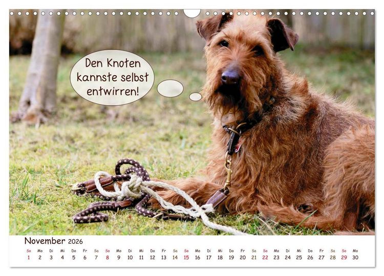 Produktbild: Frei Schnauze 2026. Was Hunde am liebsten sagen w&uuml;rden (Wandkalender 2026 DIN A3 quer), CALVENDO Monatskalender