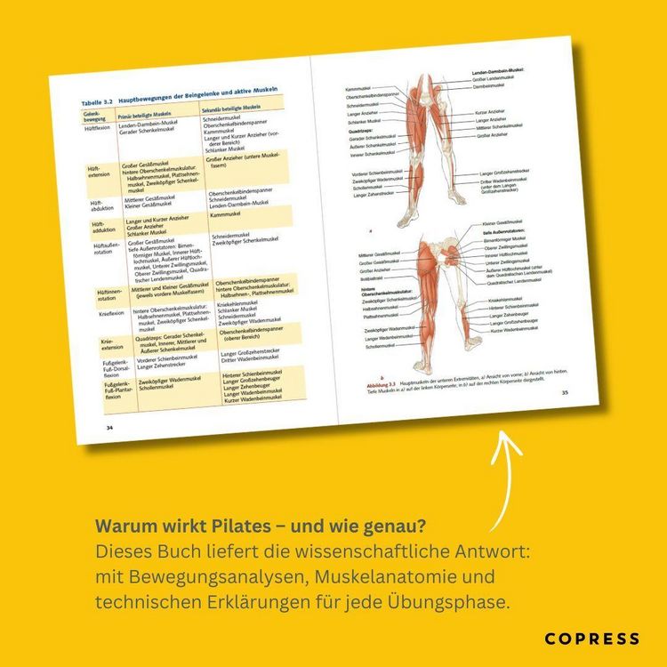 Produktbild: Pilates Anatomie