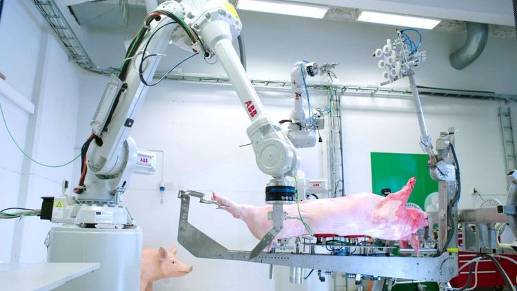Produktbild: Wir und das Tier - Ein Schlachthausmelodram
