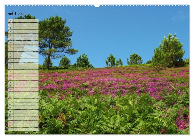 Produktbild: FINISTERE La pointe du bout du monde (Calendrier mural 2026 DIN A2 vertical) calendrier de bureau