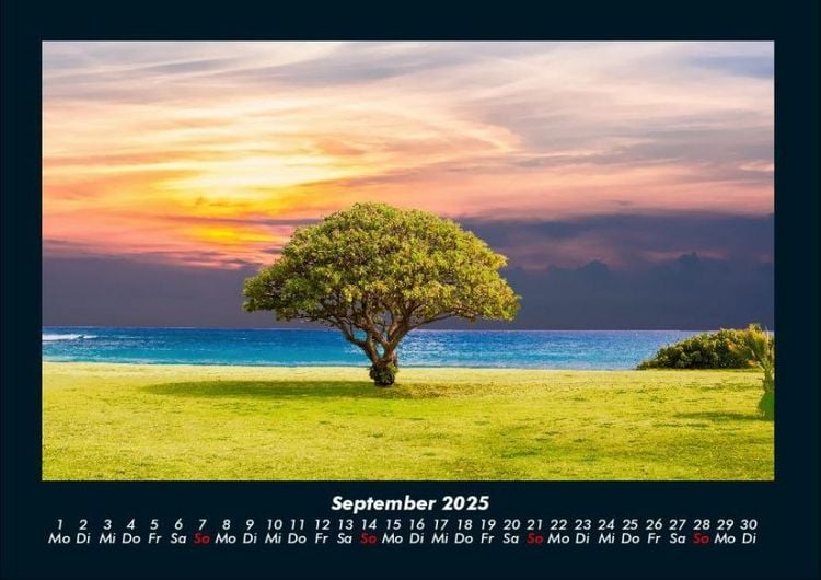 Produktbild: B&auml;ume 2025 Fotokalender DIN A4