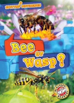 Produktbild: Bee or Wasp?