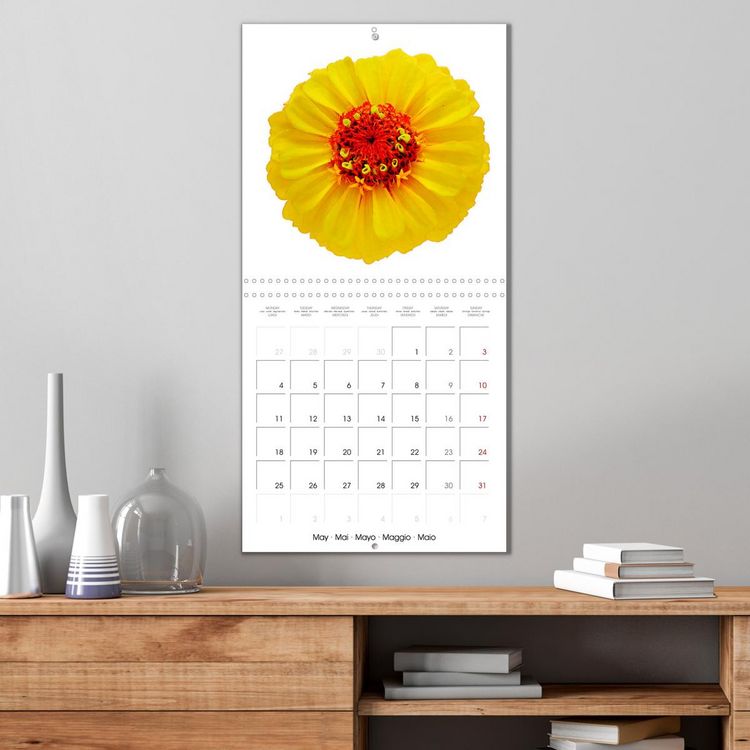Produktbild: Beautiful Zinnias (Wall Calendar 2026 12 &times; 12 Inch) CALVENDO 12 Month Wall Calendar