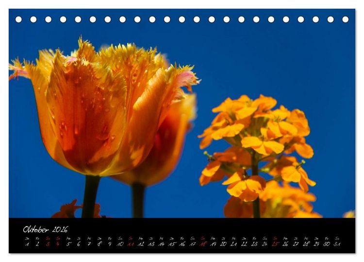 Produktbild: Butchart Gardens 2026 (Tischkalender 2026 DIN A5 quer), CALVENDO Monatskalender
