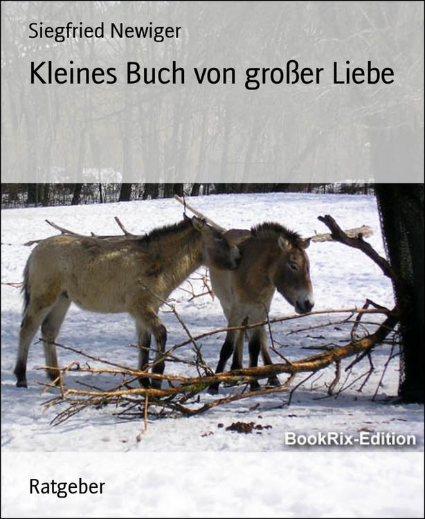 Produktbild: Kleines Buch von gro&szlig;er Liebe