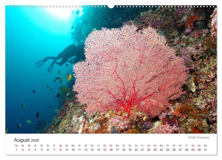 Produktbild: Unterwasser - eine bunte Welt (Wandkalender 2026 DIN A2 quer), CALVENDO Monatskalender