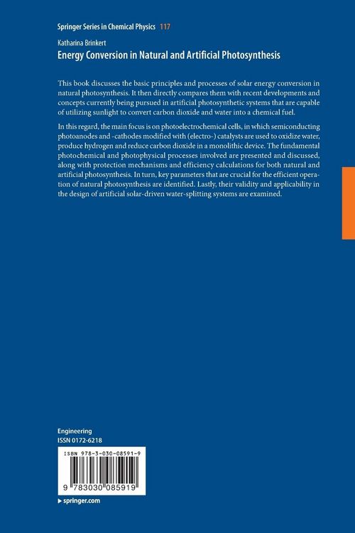 Produktbild: Energy Conversion in Natural and Artificial Photosynthesis