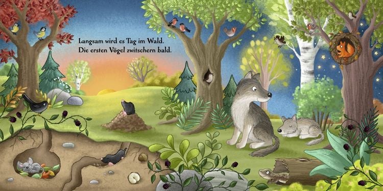 Produktbild: Es wird Tag hier im Wald
