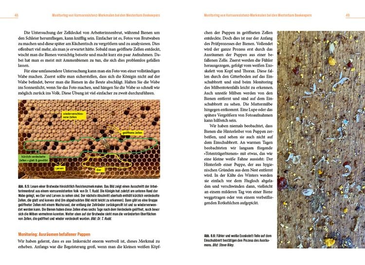 Produktbild: Die L&ouml;sung der Honigbiene f&uuml;r das Varroa-Problem