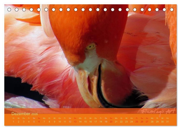 Produktbild: Flamingo Art 2026 (Tischkalender 2026 DIN A5 quer), CALVENDO Monatskalender