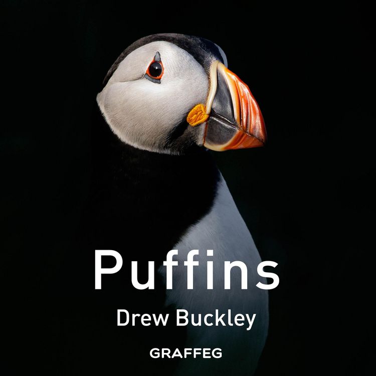 Produktbild: Puffins