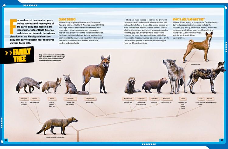 Produktbild: Mission: Wolf Rescue