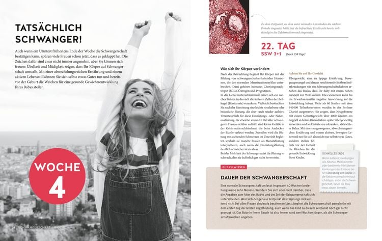 Tag für Tag durch meine Schwangerschaft