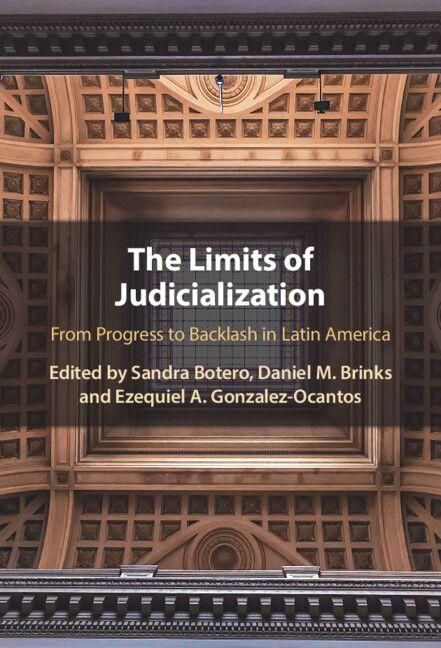 Produktbild: The Limits of Judicialization