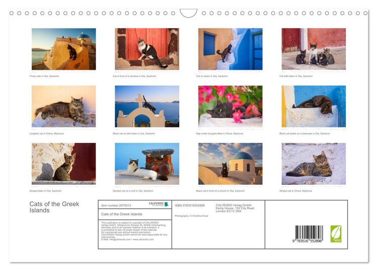 Produktbild: Cats of the Greek Islands (Wall Calendar 2026 DIN A3 landscape), CALVENDO 12 Month Wall Calendar