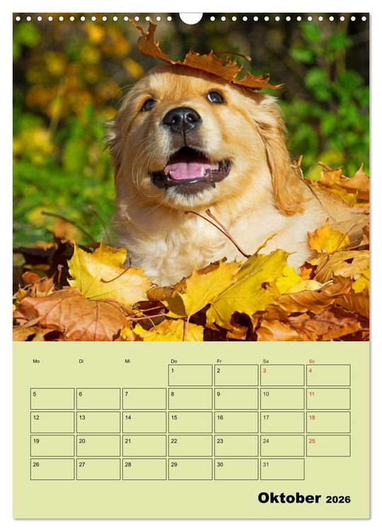 Produktbild: Jahresplaner Golden Retriever (Wandkalender 2026 DIN A3 hoch), CALVENDO Monatskalender