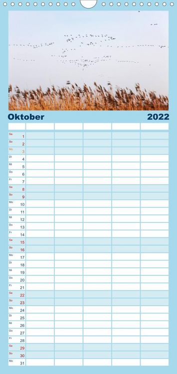Produktbild: Familienplaner Ostsee im Winter (Wandkalender 2022 , 21 cm x 45 cm, hoch)