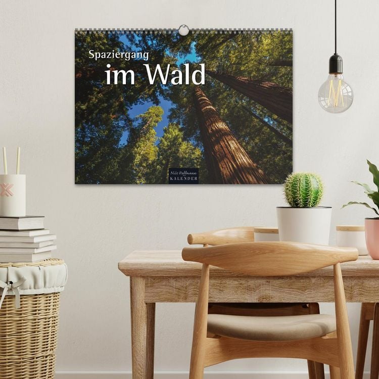 Produktbild: Spaziergang im Wald (Wandkalender 2026 DIN A3 quer), CALVENDO Monatskalender