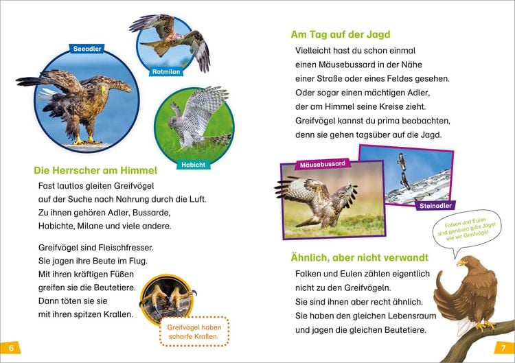 Produktbild: WAS IST WAS Erstes Lesen Band 18. Greifv&ouml;gel